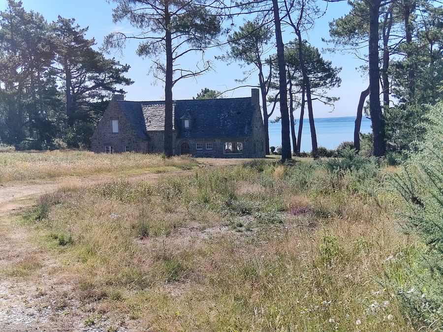 La maison de pierre sous les pins, face à la mer.
