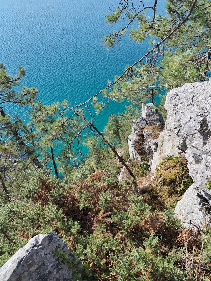 Le turquoise se glisse entre les troncs.