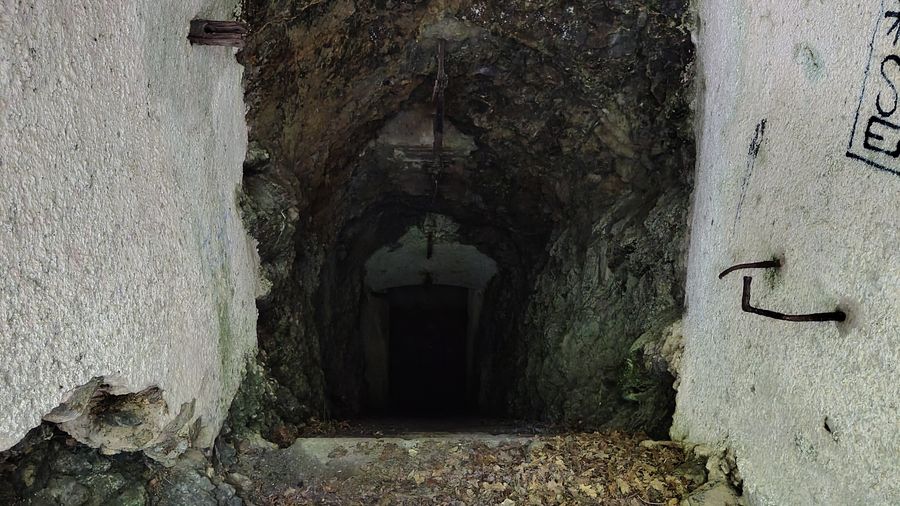 L'entrée d'une casemate, avalée par le temps.