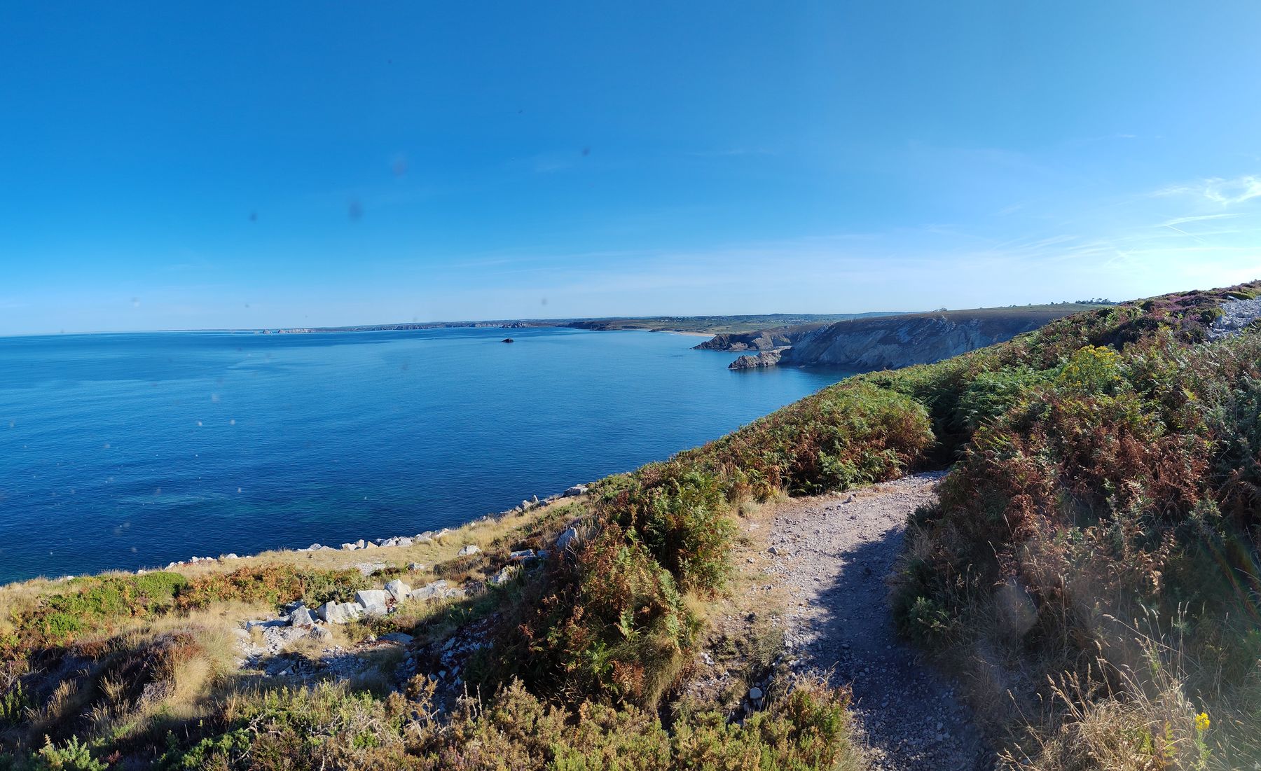 Toute la pointe déroulée d'un seul regard.